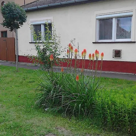 Toth Maganszallas アパート *