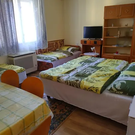 Toth Maganszallas * ハイデゥソボスロー